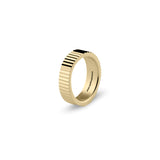 Edge Ring Polished Gold / Vertical
